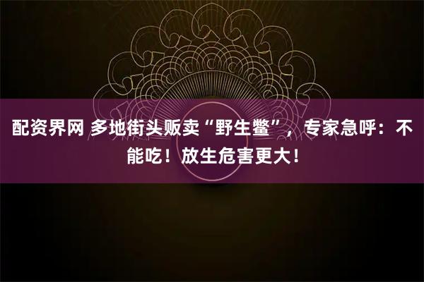 配资界网 多地街头贩卖“野生鳖”，专家急呼：不能吃！放生危害更大！